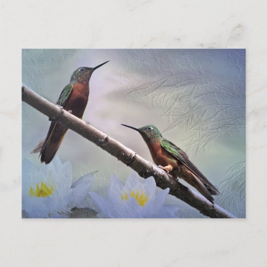 Carte postale des Gemas (Devant)