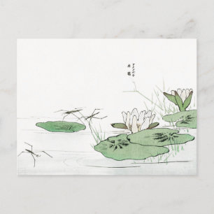 Carte Postale Des gouttes d'eau sur un étang par Morimoto Toko C