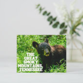 Carte postale des Great Smoky Mountains National F (Debout devant)