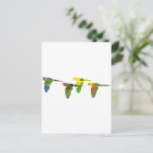 Carte Postale Des guérisons ! (Debout devant)