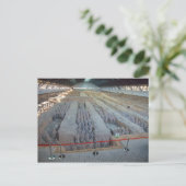 Carte postale des guerriers de Terra Cotta (Debout devant)