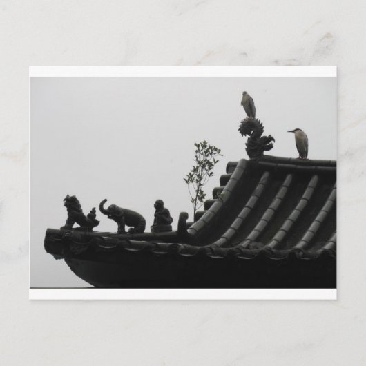 Carte postale des hérons sur le temple (Devant)