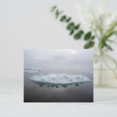 Carte postale des icebergs mystiques (Debout devant)
