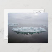 Carte postale des icebergs mystiques (Devant / Derrière)