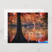 Carte postale des jardins du lac aux cygnes Iris (Devant / Derrière)