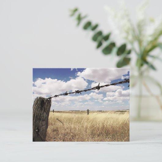 Carte postale des limites de la nature (Debout devant)