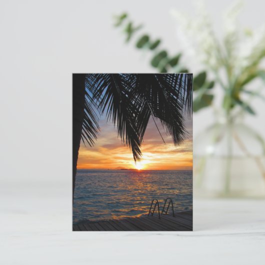 Carte postale des Maldives (Debout devant)