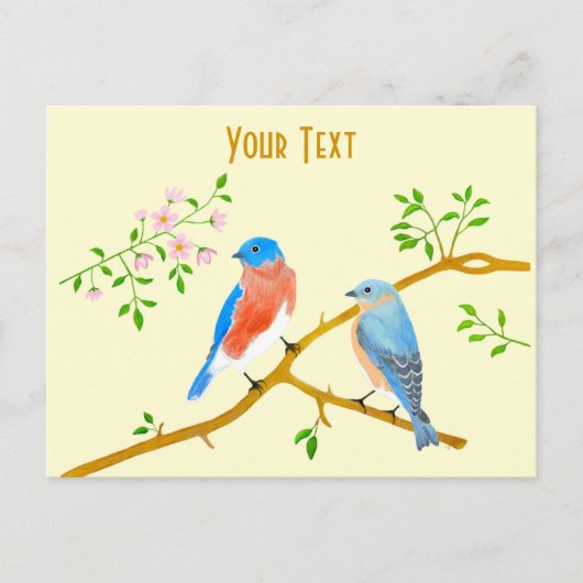 Carte postale des merles bleus (Devant)