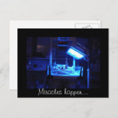 Carte Postale Des miracles arrivent... (Devant / Derrière)