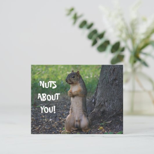 CARTE POSTALE DES NUTS SUR VOUS ! (Debout devant)