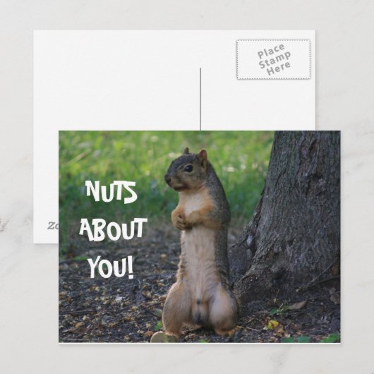 CARTE POSTALE DES NUTS SUR VOUS ! (Devant / Derrière)