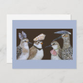 Carte postale des oiseaux de rivage (Devant / Derrière)