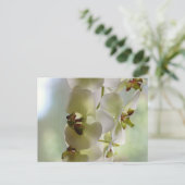 Carte postale des orchidées dangereuses (Debout devant)