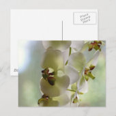 Carte postale des orchidées dangereuses (Devant / Derrière)