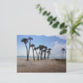 Carte postale des palmiers (Debout devant)