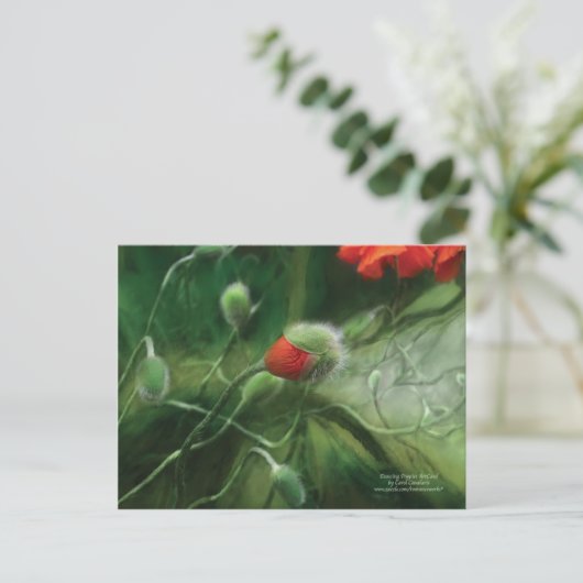 Carte postale des papilles dansantes (Debout devant)