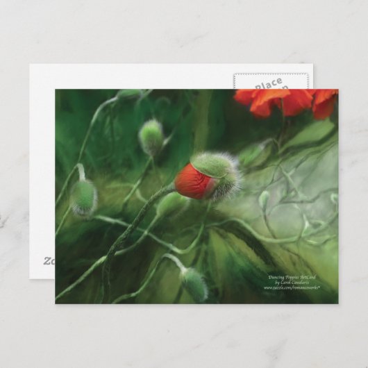 Carte postale des papilles dansantes (Devant / Derrière)