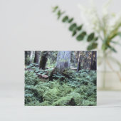 Carte postale des parcs nationaux (Debout devant)