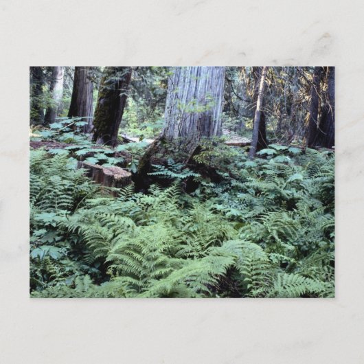 Carte postale des parcs nationaux (Devant)