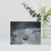 Carte postale des parcs nationaux (Debout devant)