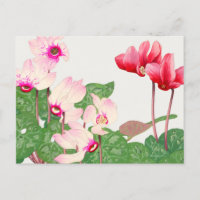Carte postale des pavots rouges