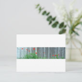 Carte Postale Des pavots sur un mur (Debout devant)