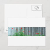 Carte Postale Des pavots sur un mur (Devant / Derrière)