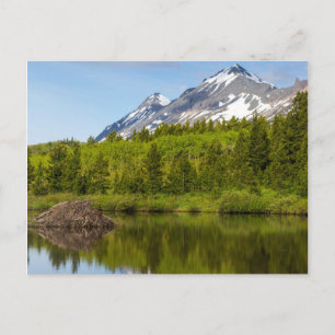 Carte Postale Des pics de montagne se reflètent dans un étang de