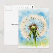 Carte postale des pissenlits (Devant / Derrière)
