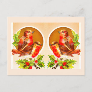 Carte postale des quatre robins de Noël
