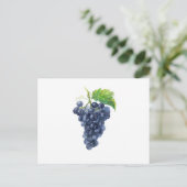 Carte Postale Des raisins. Aquarelle. (Debout devant)