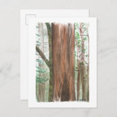 carte postale des séquoias (Devant / Derrière)