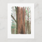 carte postale des séquoias (Devant)