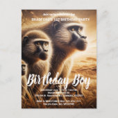 Carte Postale Des singes joueurs dansent dans la prairie (Devant)