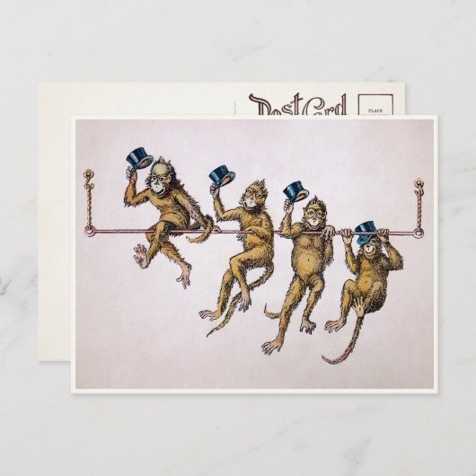 Carte postale des singes victoriens (Devant / Derrière)