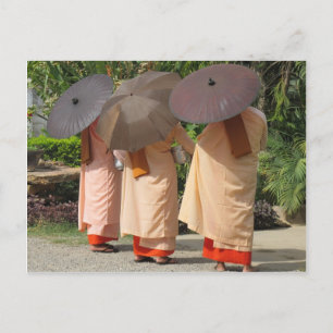 Carte Postale Des soeurs collectant des algues