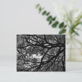 Carte postale des succursales (Debout devant)