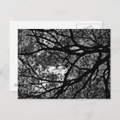 Carte postale des succursales (Devant / Derrière)