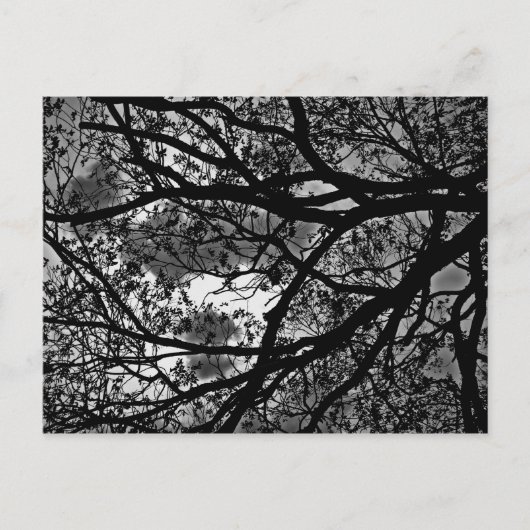 Carte postale des succursales (Devant)