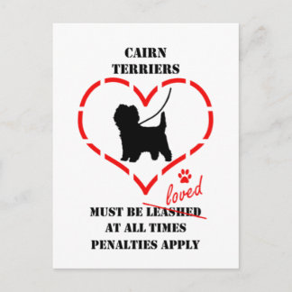 Carte Postale Des terriers de cairn doivent être aimés