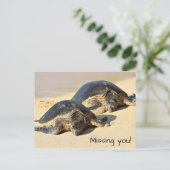 Carte postale des tortues de mer d'Hawaï (Debout devant)