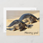 Carte postale des tortues de mer d'Hawaï (Devant / Derrière)