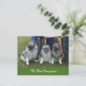 Carte postale des trois gardiens (Debout devant)