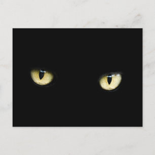 carte postale des yeux de chat noir