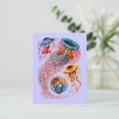 Carte Postale Désamorcer (Debout devant)