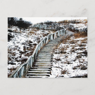 Carte postale d'escalier de Milou
