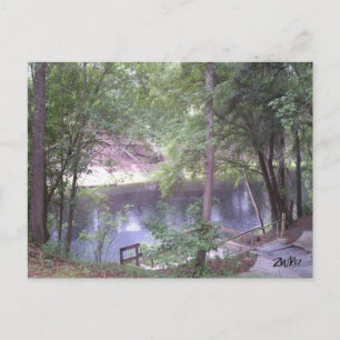 Carte Postale Descendre sur une Suwannee River White Springs Fl.