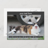 Carte Postale Descends de ma fourrure hurle Calico (Devant / Derrière)