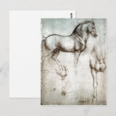 Carte Postale Description Étude de l'image originale du cheval t (Devant / Derrière)