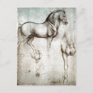 Carte Postale Description Étude de l'image originale du cheval t